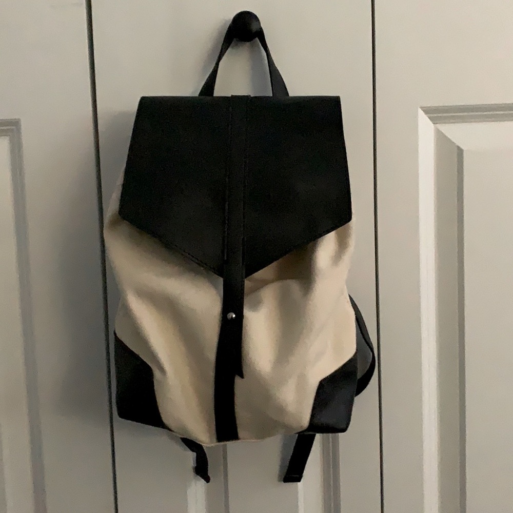 Fabfitfun Duex Lux Demi backpack 2019
